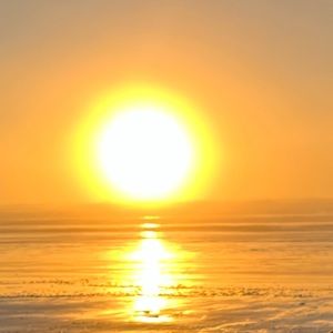 Meet your Posher, Francis